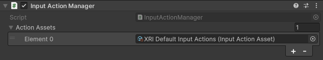 input action manager